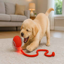 Bola Inteligente para Pets – Brinquedo Interativo Automático Recarregável - ROUTCHERS