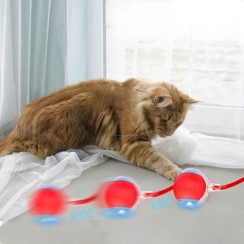 Bola Inteligente para Pets – Brinquedo Interativo Automático Recarregável - ROUTCHERS