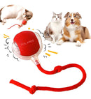 Bola Inteligente para Pets – Brinquedo Interativo Automático Recarregável - ROUTCHERS