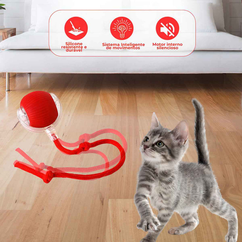 Bola Inteligente para Pets – Brinquedo Interativo Automático Recarregável - ROUTCHERS