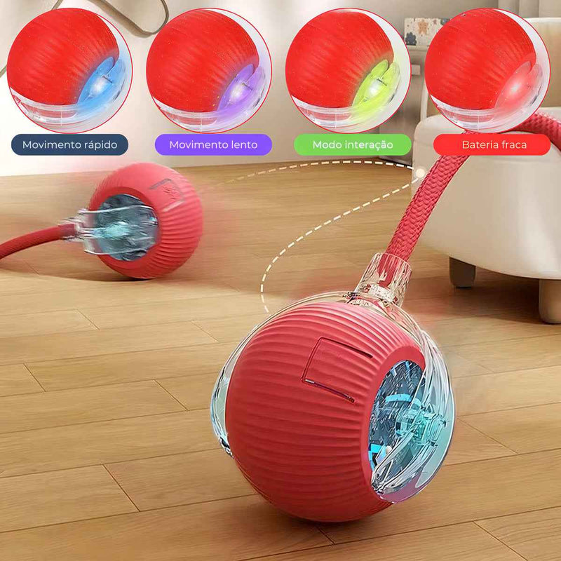 Bola Inteligente para Pets – Brinquedo Interativo Automático Recarregável - ROUTCHERS